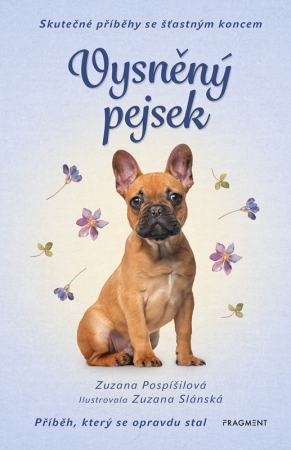 Vysnn pejsek